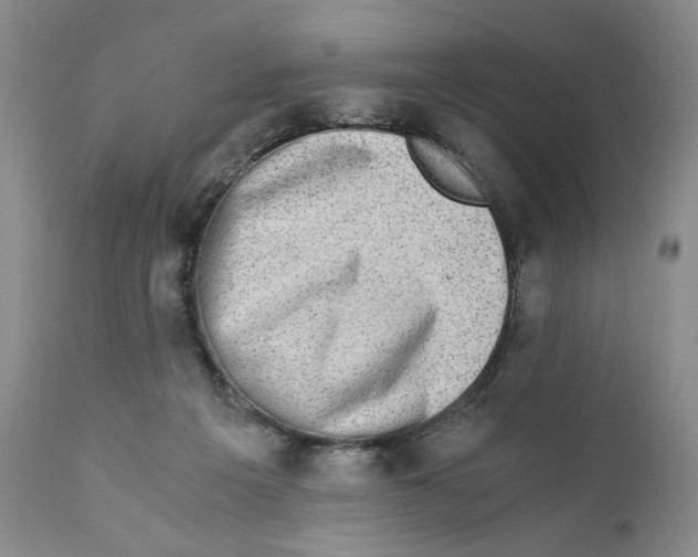 X0000110890217200907161533