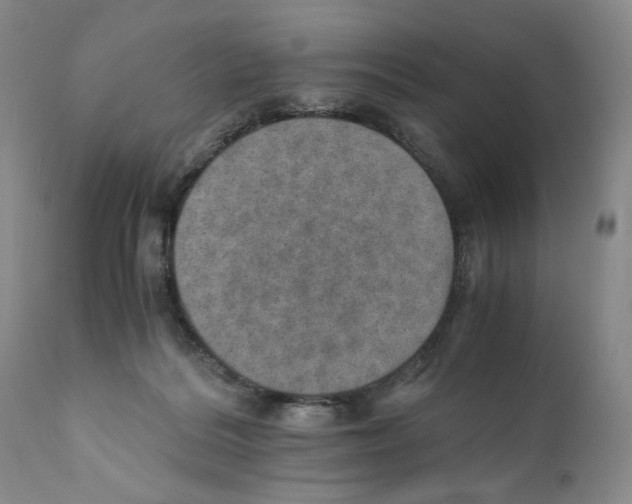 X0000110890220200907161533
