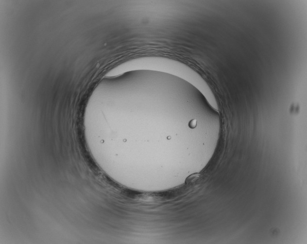 X0000110890221200907161533