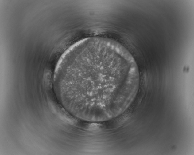 X0000110890222200907161533
