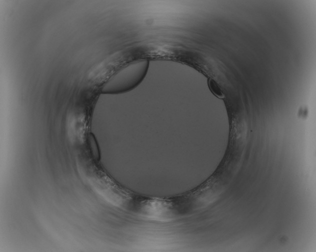 X0000110890223200907161533