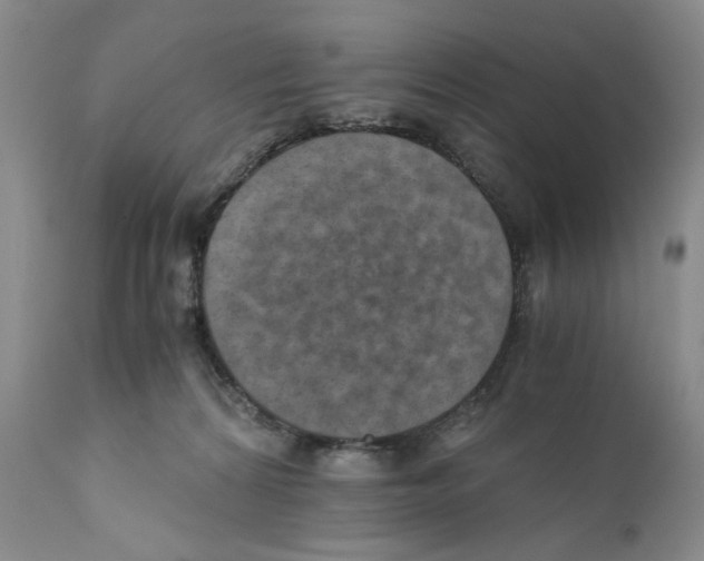 X0000110890224200907161533
