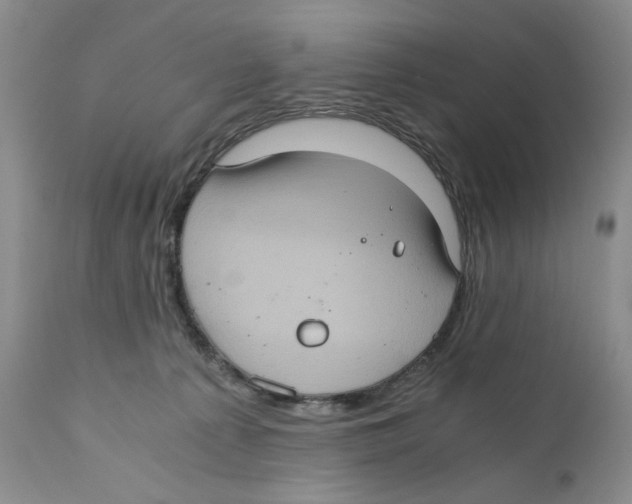 X0000110890225200907161533