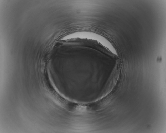 X0000110890227200907161533