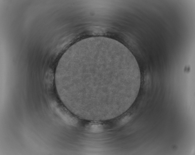 X0000110890228200907161533
