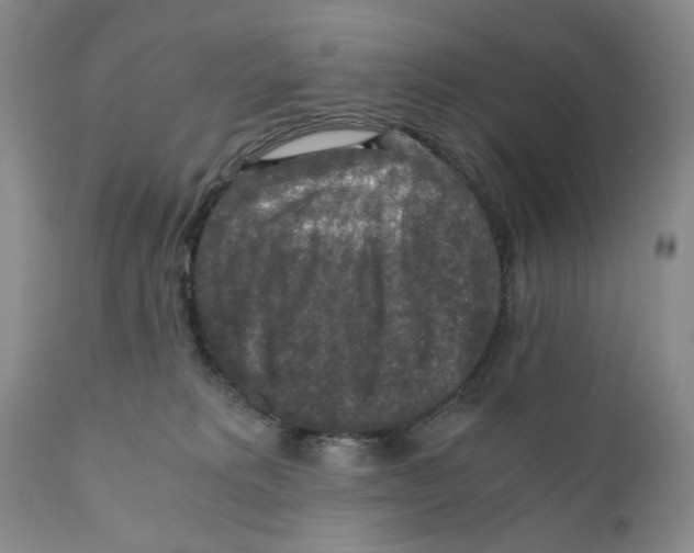 X0000110890229200907161533
