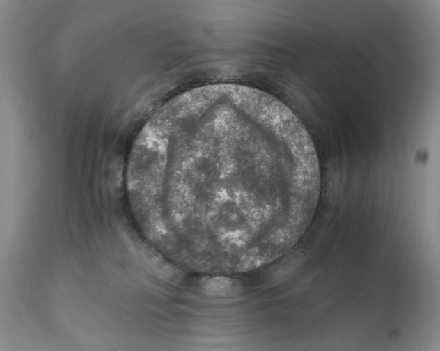 X0000110890230200907161533