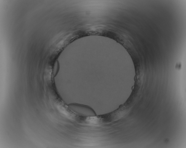X0000110890231200907161533