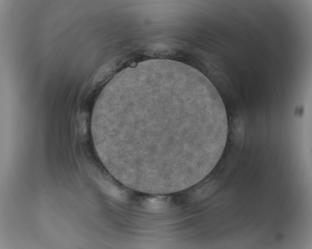 X0000110890232200907161533