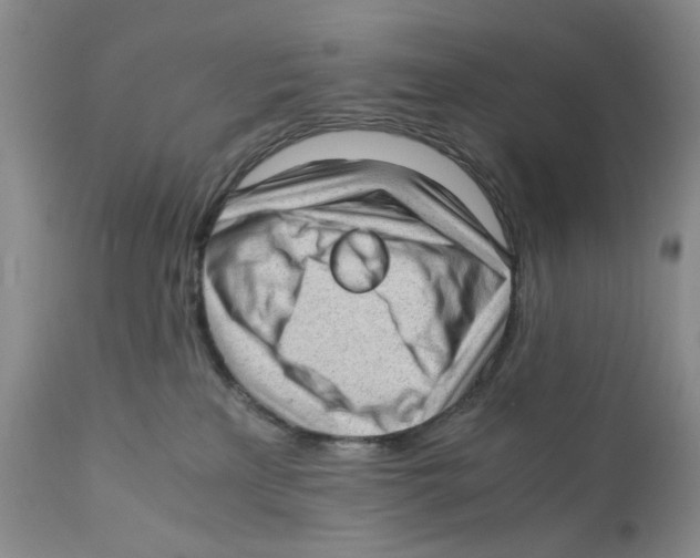 X0000110890233200907161533
