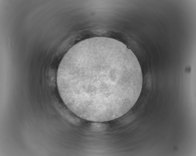 X0000110890234200907161533