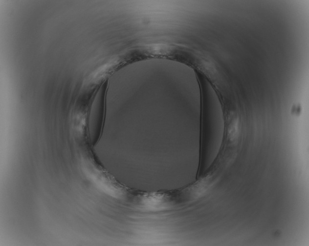 X0000110890235200907161533