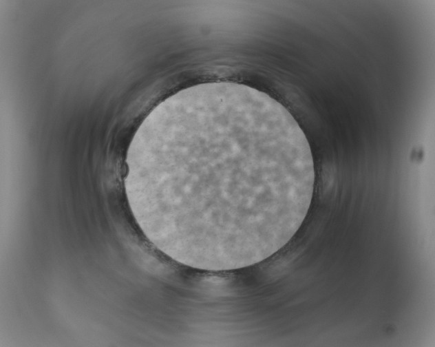 X0000110890236200907161533