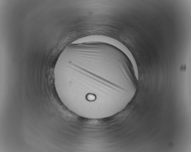 X0000110890237200907161533
