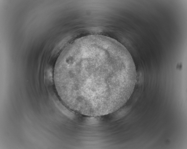 X0000110890238200907161533