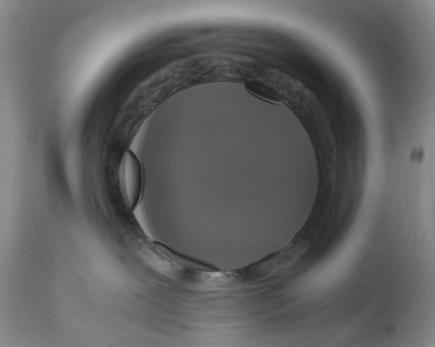 X0000110890239200907161533
