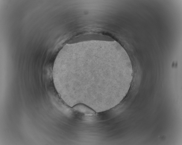 X0000110890240200907161533