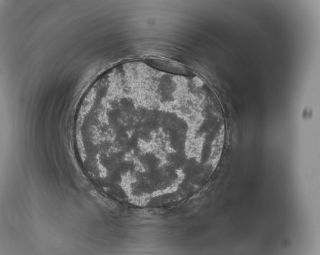 X0000110890241200907161532
