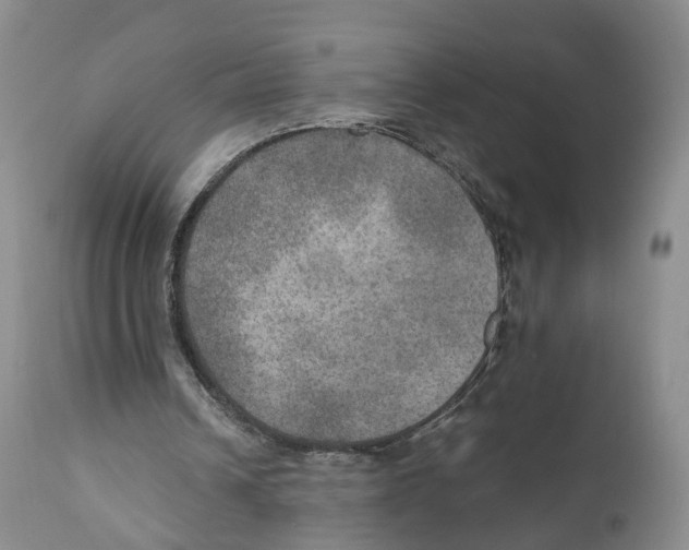 X0000110890242200907161532