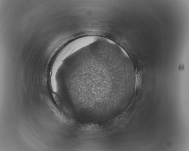 X0000110890243200907161532