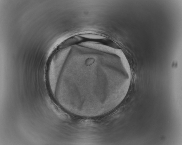 X0000110890244200907161532
