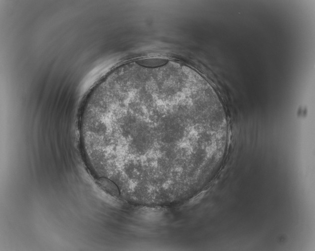 X0000110890245200907161532