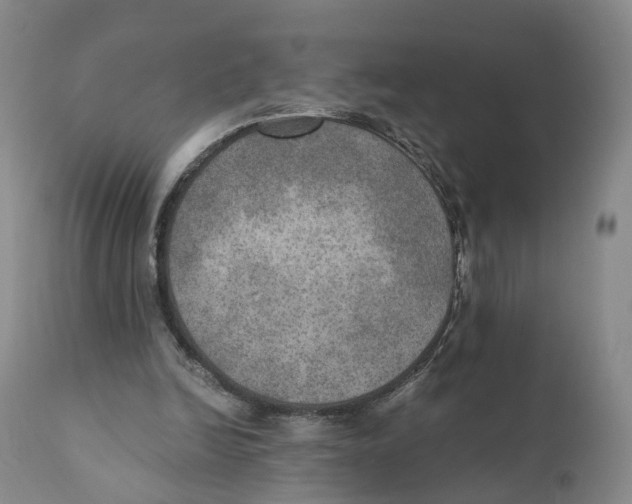X0000110890246200907161532