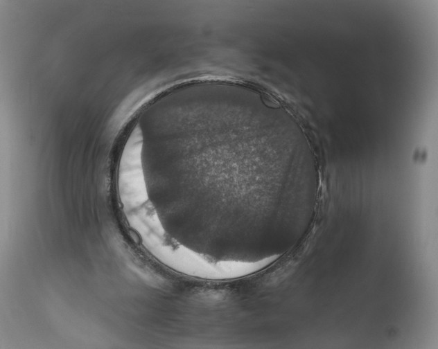X0000110890247200907161532