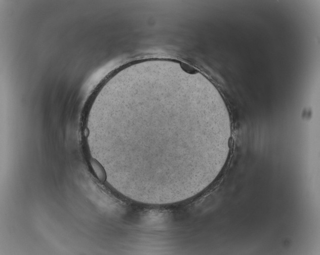 X0000110890248200907161532