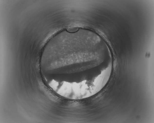 X0000110890249200907161532