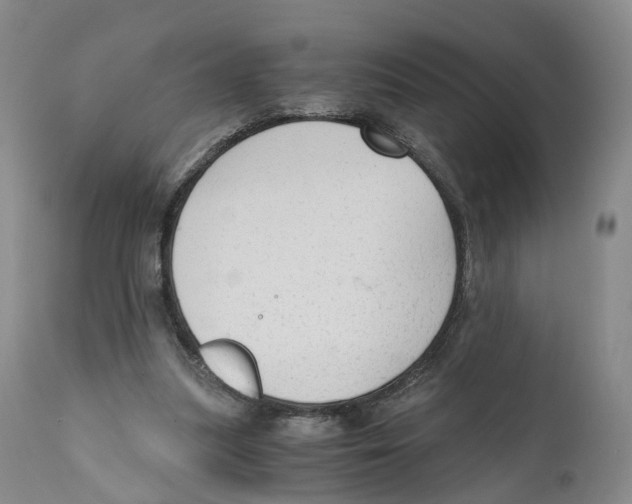 X0000110890251200907161532
