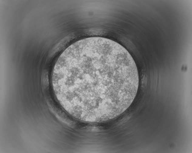 X0000110890254200907161532