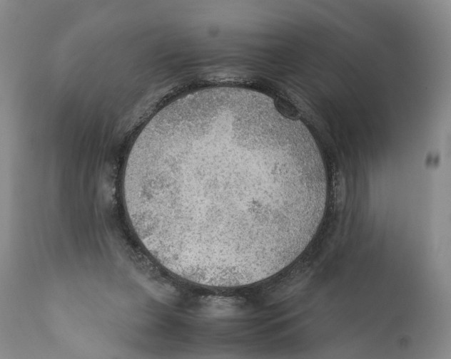 X0000110890255200907161533