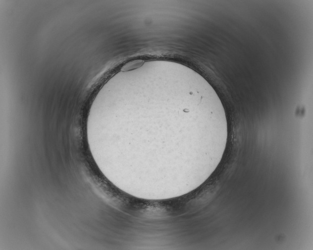 X0000110890256200907161533