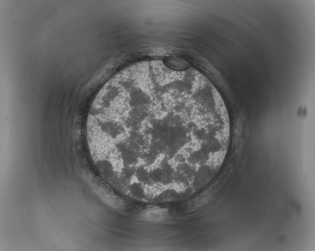 X0000110890257200907161533