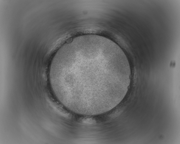 X0000110890258200907161533