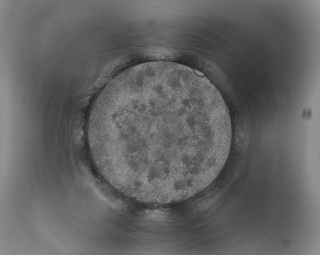 X0000110890259200907161533