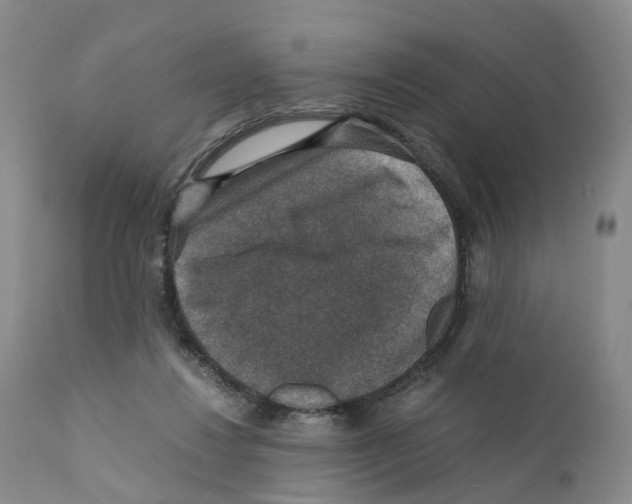 X0000110890260200907161533