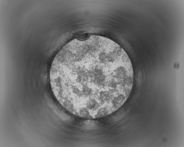 X0000110890261200907161533