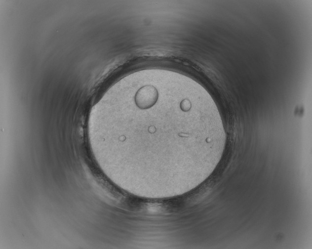 X0000110890264200907161533