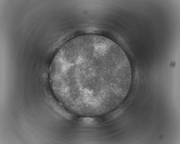 X0000110890265200907161533