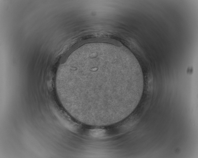 X0000110890266200907161533