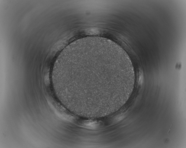 X0000110890267200907161533