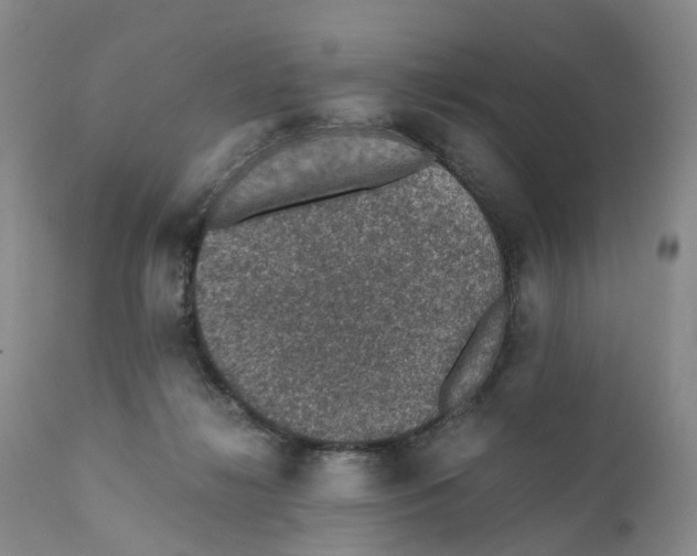 X0000110890268200907161533