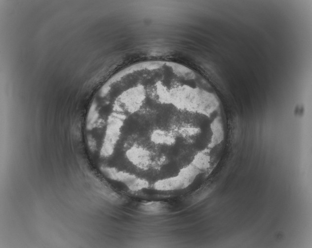 X0000110890269200907161533