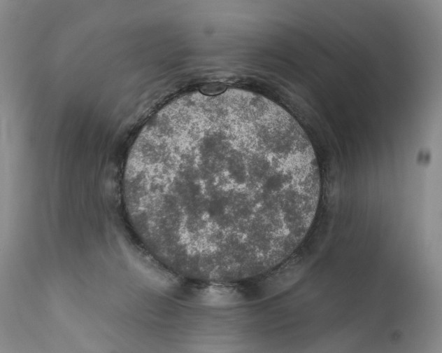 X0000110890270200907161533