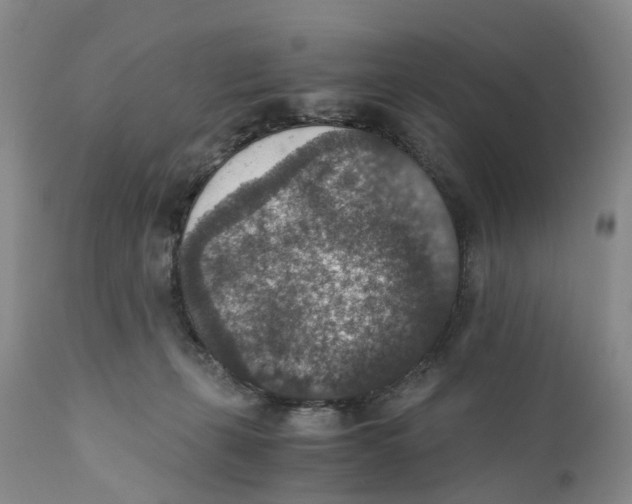 X0000110890271200907161533