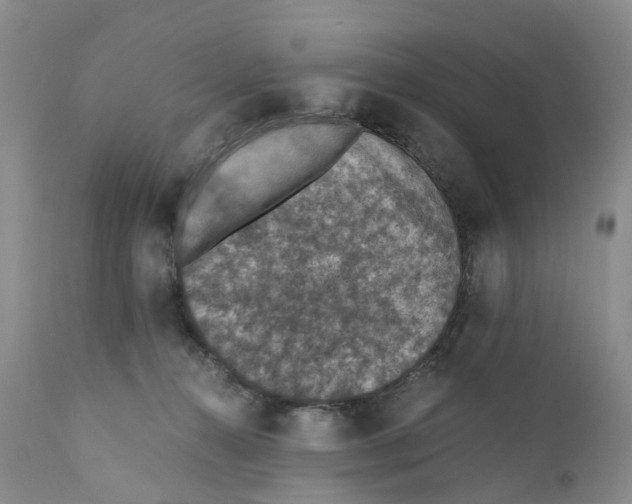 X0000110890272200907161533