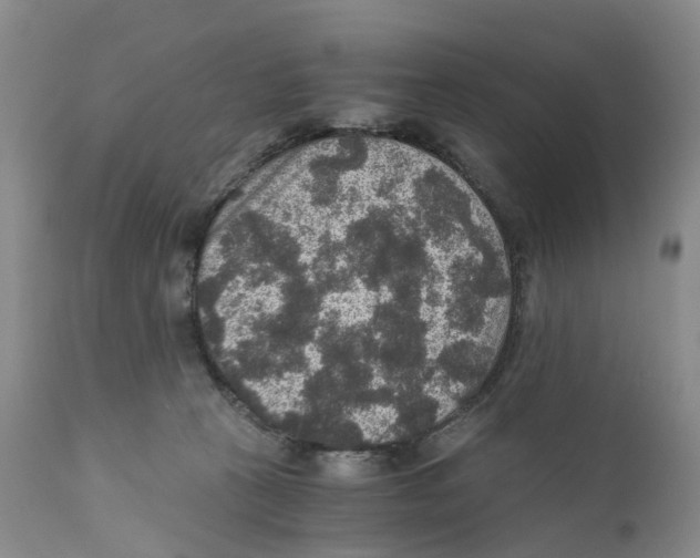 X0000110890273200907161533