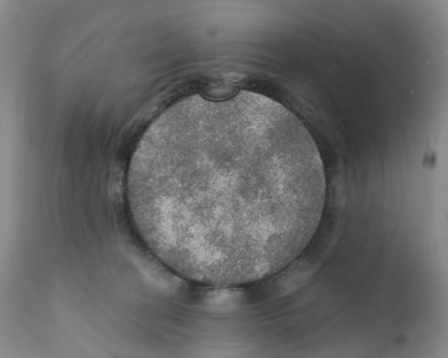 X0000110890274200907161533